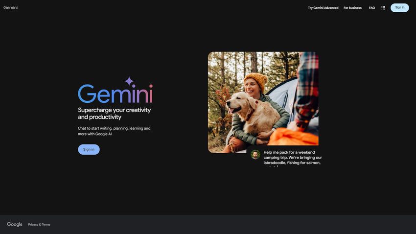 Google Gemini